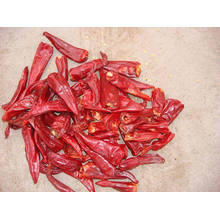 New Crop Dried Chaotian, Yidu Chili